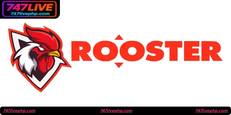 Common Questions About Dragon Rooster