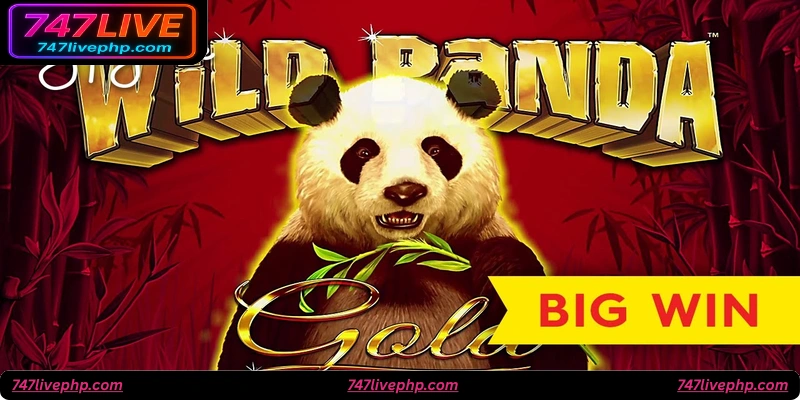 FAQ: Golden Panda Reel Slot