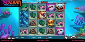 Shark Master
